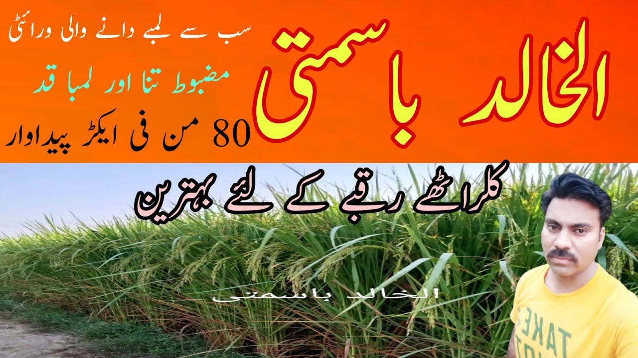 Алан аль халиди москва Алан аль халиди москва