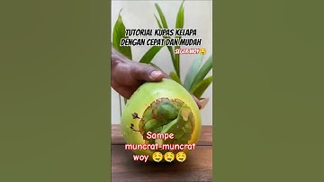 Selamat minum air kelapa, itu bukan tangan aku ya gaes 🤌😍 #kelapa #shorts