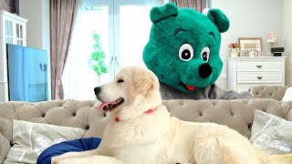 Giant Bear Costume Pranking On My Dog