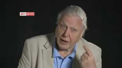 The Missing LInk Found