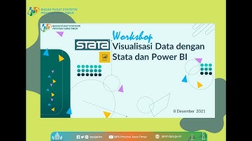 Workshop Visualisasi Data dengan Stata dan Power BI