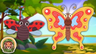 learn about the most popular bugs animal songs for kids klt wild