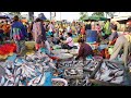 Chbar Ampov Fish Market Scene - Plenty Dry Fish, Alive Fish, Seafood, Frog &amp; More in Fish Market
