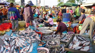 Chbar Ampov Fish Market Scene - Plenty Dry Fish, Alive Fish, Seafood, Frog &amp; More in Fish Market