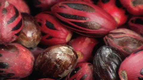 The Grenada Nutmeg Industry