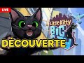  le meilleur jeu de chat de 2024  dcouverte de little kitty big city 