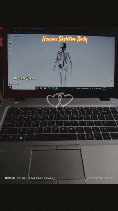 human-skeleton-body-story-human-all-body-parts-skeletal-bone-status