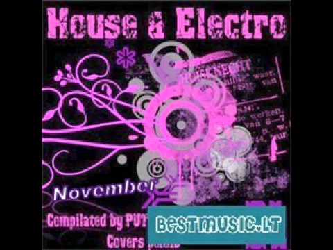 Electro House 2010 November