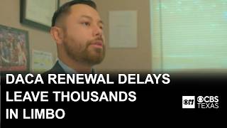 DACA renewal delays leave hundreds of thousands in limbo