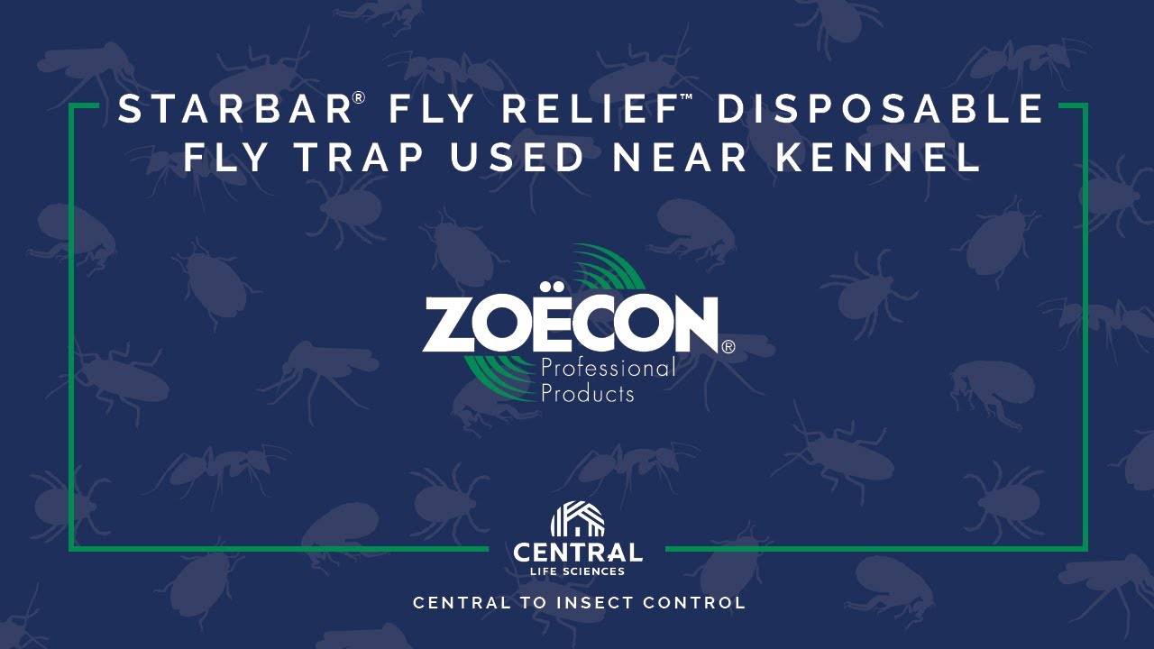 Starbar® Fly Relief™ Disposable Fly Trap Used Near Kennel YouTube
