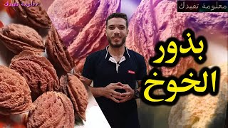 فوائد بذور الخوح 10 فوائد فى بذر الخوخ ربما تعرفها لاول مرة ؟؟