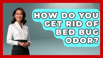 How Do You Get Rid Of Bed Bug Odor? - Insects and Invaders