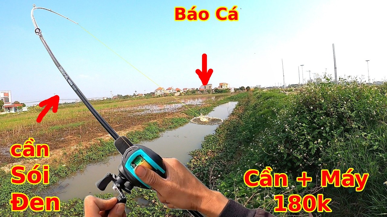 Đi săn Hugo bằng combo Máy Ngang siêu rẻ mua trên Shopee