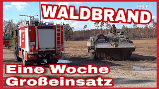 Riesiger Waldbrand bei Falkenberg/Elster und Arzberg nach einer Woche endlich gelöscht