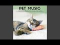 Pet music world