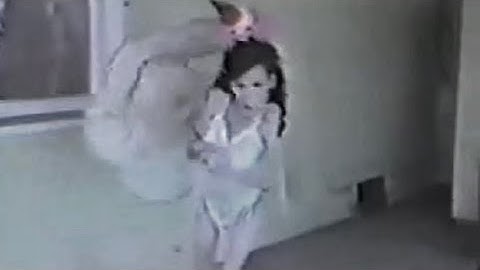 Where Did These Videos Come From? 