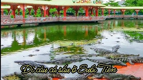 Đi Suối Tiên câu cá sấu
