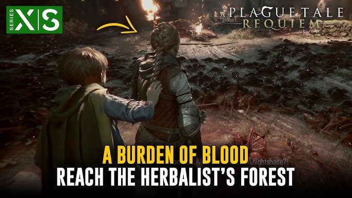 A Plague Tale Requiem - Chapter 3 A Burden of Blood Walkthrough