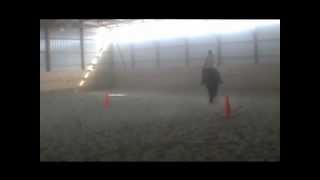 Sonnys "Dakota" Splash - 2000 APHA