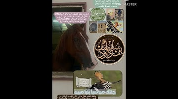 تلاوه خاشعه و هادئه مريحه للأعصاب من ما تيسر من سوره النمل بصوت القارئ إسلام صبحي✨😴❤️