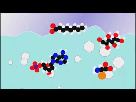 Videó: Mi a kémiai evolúció?