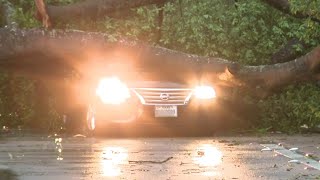Woman killed while driving in storm after tree topples on vehicle in Spring