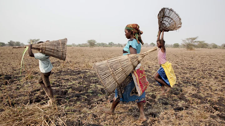 Why is food insecurity such a persistent problem?