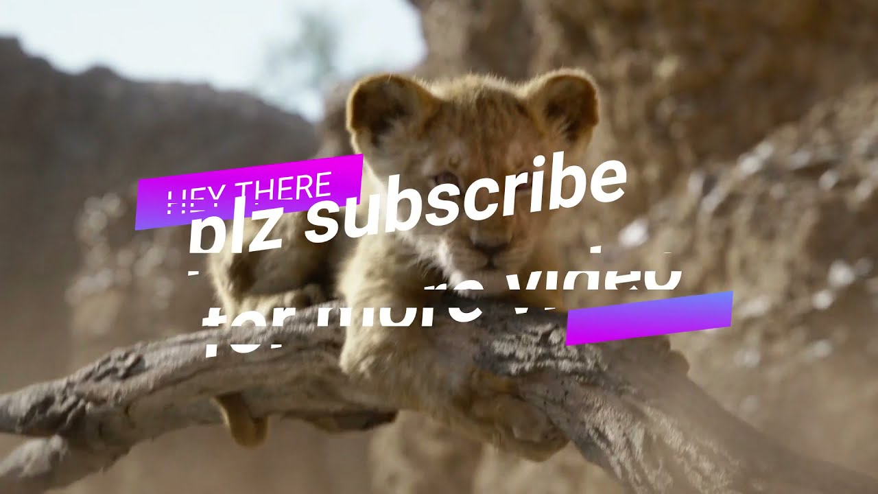 fun animals video-animals kids video-kids enjoyable video - animals reduce stress video