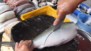 The World&#39;s Fastest and Most Precise Fish Cutting Technique! | Astonishing Skill Unleashed