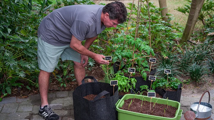 Create Your Own Patio Farm with Jim Cunneen