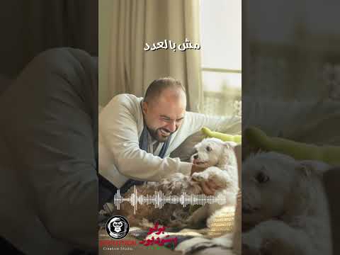 صباح الخير على كلبي علي الألفي    