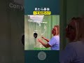見たら最後。一生秘密の穴