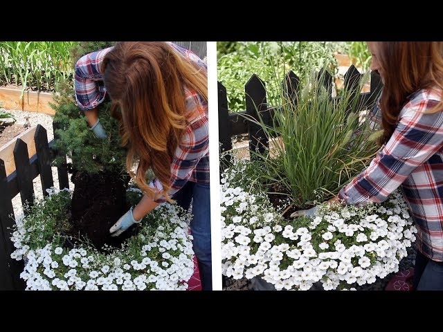 How to Replace a Dying Centerpiece in a Container  // Garden Answer