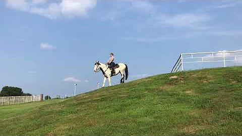 Heather Kunz + Medicine Man Novice Walk Downhill