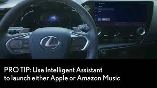 Lexus Interface with Integrated Streaming