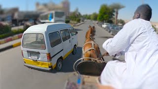 Il a failli écraser notre cheval sur la route  ??