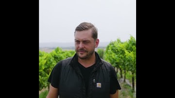 Joe Swick on Winemaking