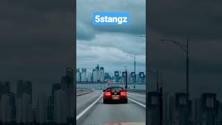 club 5stangz. driver js