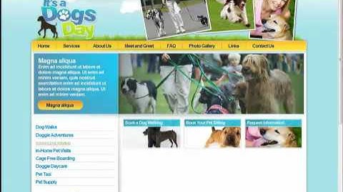 Website Design for $499 Updated