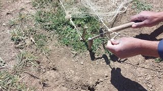 Learn how to set up a ground net trap professionally