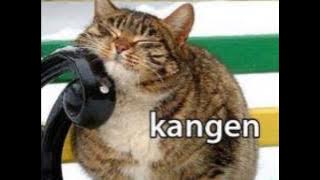 Lilis Karlina - Kangen