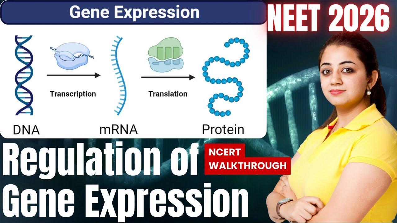 Regulation of Gene Expression | Prokaryotes vs Eukaryotes | Class 12 ...