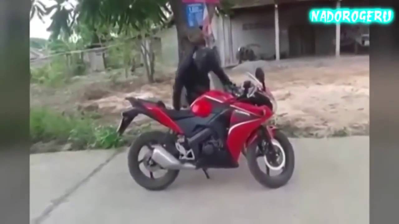 Лучшие автомобильные клипы