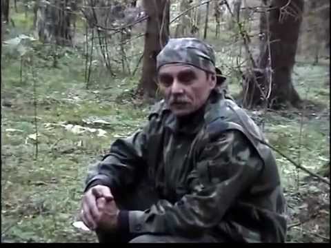 Ведьмин круг грибов . Рядовки дымчато серые в лесу, Говорушки.