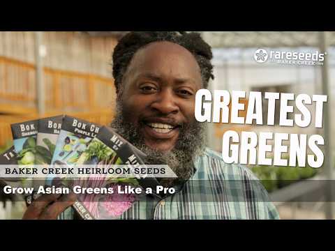 Greatest Greens | Grow Asian Greens Like a Pro