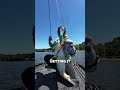 Graph, crank, catch, repeat… #bassfishing