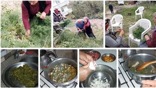 Köy Yaşamı - Arapsaçı Otu Yemeği Ve Kavurması Nasıl Yapılır