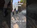 ASMR pressure washing. #ASMR, #pressurewashing, #satisfying,
