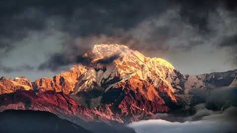 تلاوة هادئة شجية تطيب لها القلوب