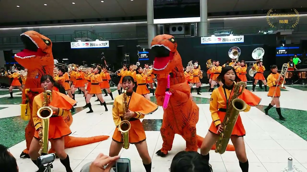 Paradise Has No Border でギョざいます！ 京都橘高校吹奏楽部 Kyoto